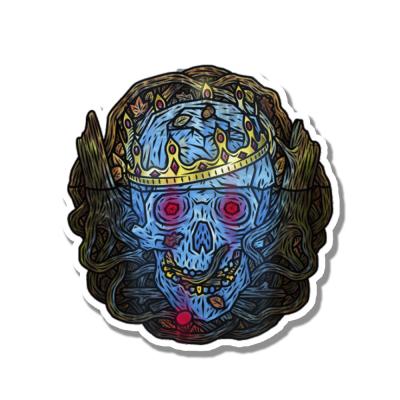 Back to skull